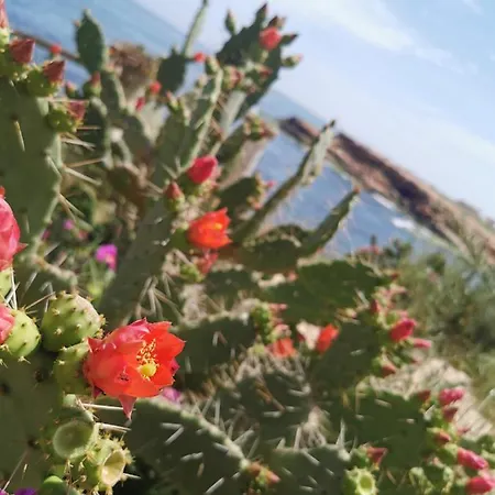Daire Soleado
